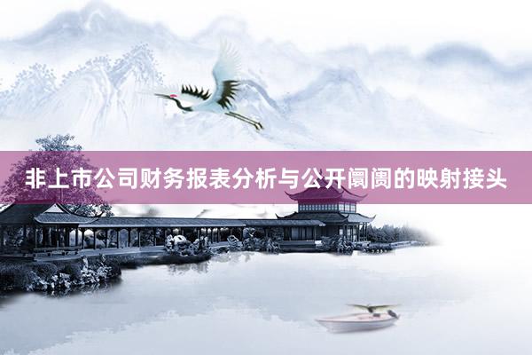 非上市公司财务报表分析与公开阛阓的映射接头