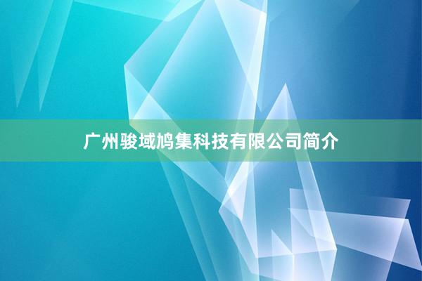 广州骏域鸠集科技有限公司简介